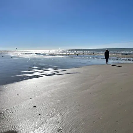 Lejlighed L'escale Paisible, Entre Dunes Et Plages *