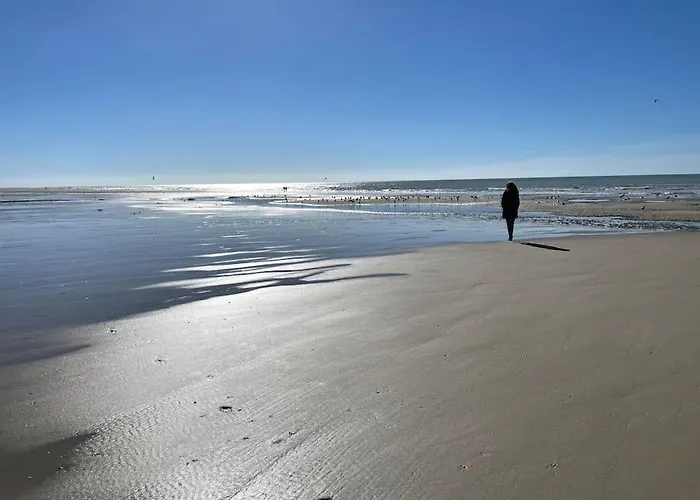 Appartamento L'escale Paisible, Entre Dunes Et Plages *