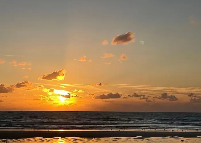 Appartamento L'escale Paisible, Entre Dunes Et Plages
